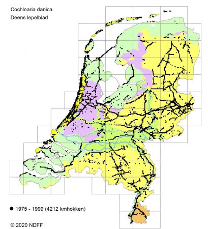 Verspreidingskaartje Deens Lepelblad