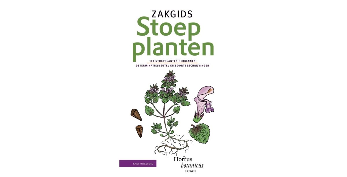 Zakgids Stoepplanten