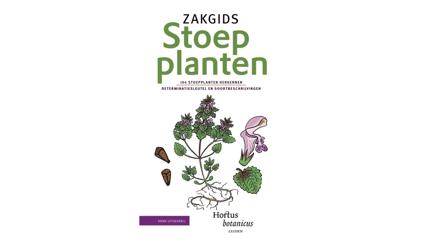 Zakgids Stoepplanten