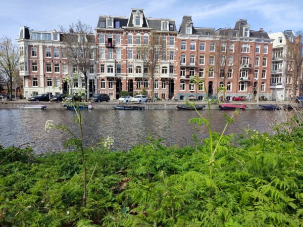 bij de Singelgracht Amsterdam