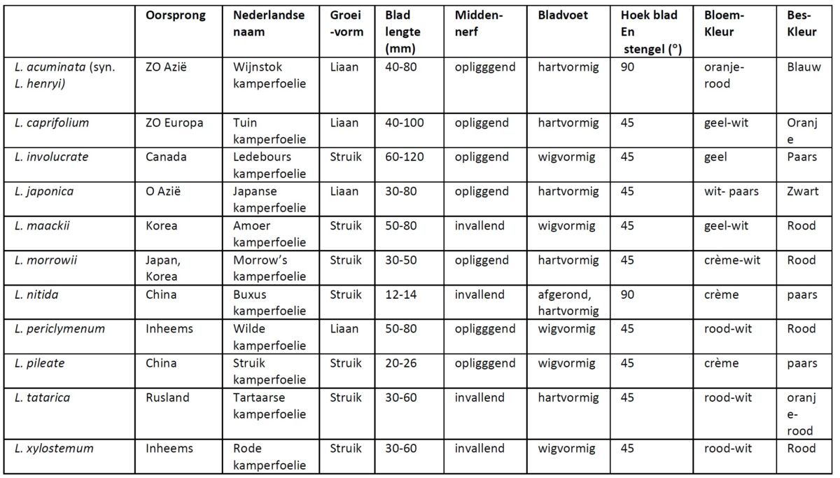 vergelijking van verschillende soorten kamperfoelie